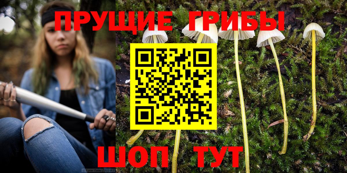 купить  сайты  Вход с VPN  Галлюциногенные грибы Psilocybe  Озёры  Галлюциногенные грибы Psilocybe 