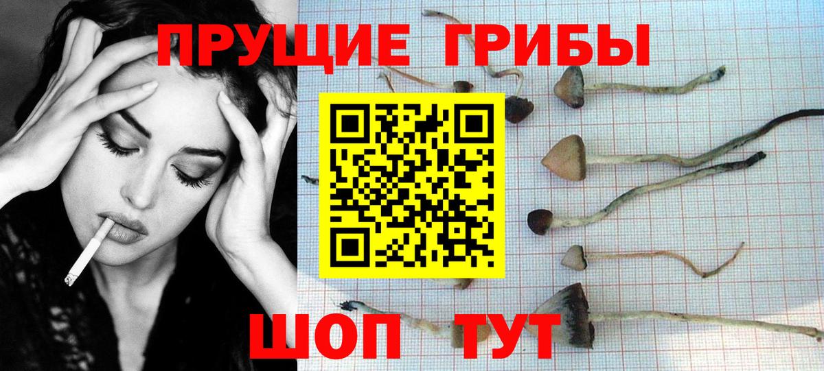 Псилоцибиновые грибы Cubensis Озёры